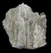 Sea Green Fluorite on Bed Of Quartz - China #32489-4
